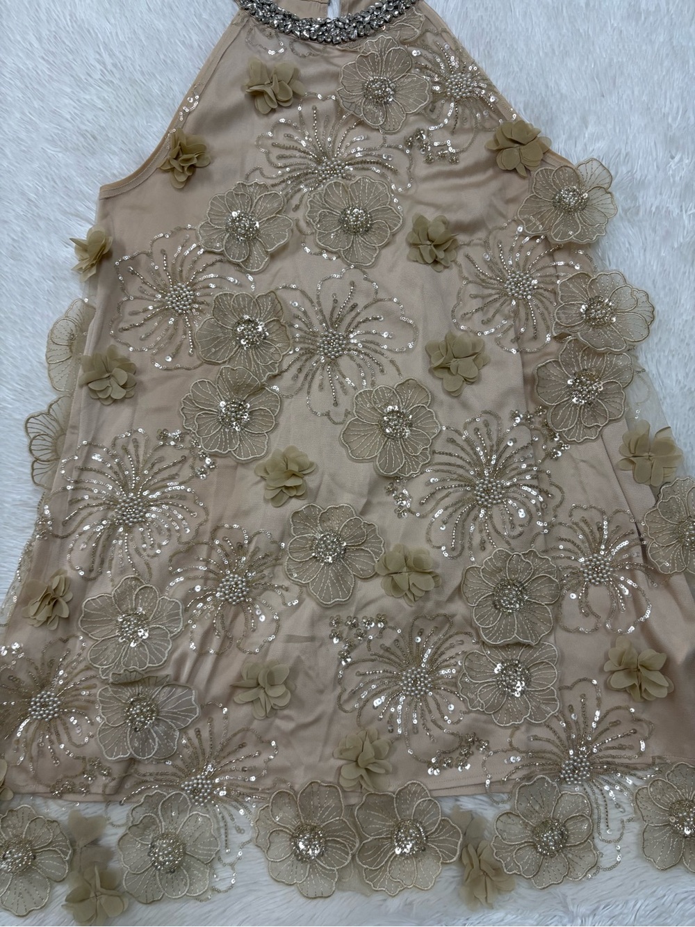 Rich Radi QS Embellished Halter Mini in Champagne - Picture 10 of 15
